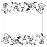 Square frame made of cotton flowers with space for text. hand drawing in engraving style. Ink sketch for wrapper. Linear design imitates etching technique. vector
