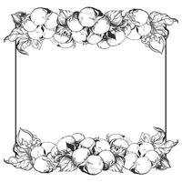 Square frame made of cotton flowers with space for text. hand drawing in engraving style. Ink sketch for wrapper. Linear design imitates etching technique. vector