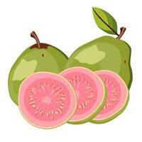 Set of juicy and healthy green guava and pink slices isolated on white background. sliced tropical fruit illustration in flat style. Summer clipart for design of card, banner, flyer, poster vector