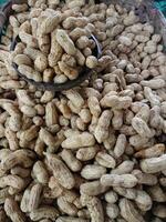 Peanut underground in market Thailand photo