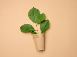 Stack of brown paper disposable cardboard cups on beige background and green leaves photo