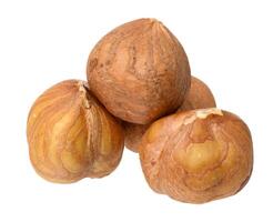 Three hazelnuts on isolated background photo