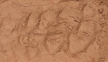 Dry ground cocoa powder, texture photo