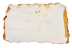 White torn piece of paper drenched in coffee on an isolated background photo