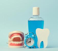 humano mandíbula modelo, enjuague bucal y alarma reloj en azul fondo, oral higiene foto