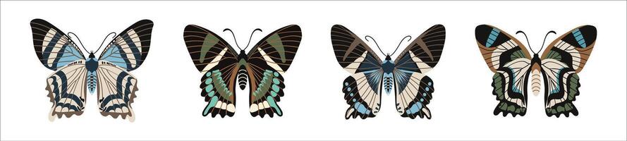 Collection of colorful butterflies, top view. Set of colorful moths with antennas. vector