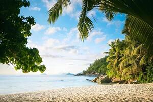 Art Beautiful sunset over the tropical beach photo