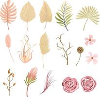 Protea flower, tropical palm, rose, dry tropical leaves, floral elements. Trendy winter, autumn wedding bouquets vector