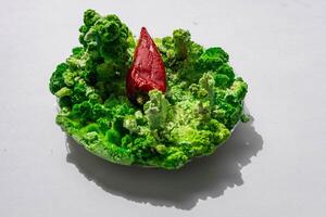 Red paprika on green mold and moss. photo