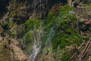 Water flows over the stones overgrown with moss in green forest. photo