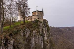 honau Alemania- abril 7, 2024. ver de el edificios en el patio de Liechtenstein foto