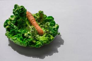 Orange carrots with mold and moss. photo