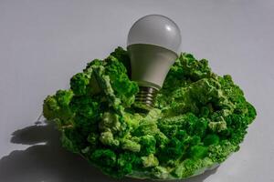 verde energía concepto en blanco antecedentes foto