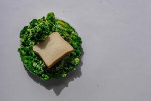 Toast bread on green leaf and moss. photo