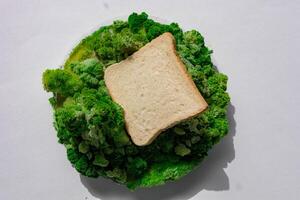 Toast bread on green leaf and moss. photo