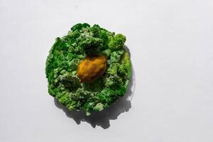 lemon with mold and moss photo