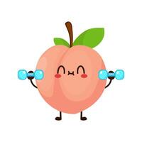 Cute funny peach fruit is doing gym with dumbbells vector