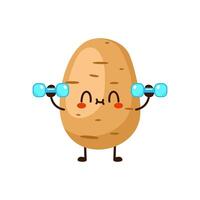 Cute funny potato is doing gym with dumbbells vector