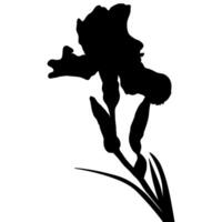 Iris Flower Silhouette vector