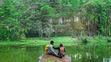 Las parejas viajan, se relajan, se sientan a ver la naturaleza en el invierno en el centro de conservación de orquídeas paphiopedilum, chiangmai foto