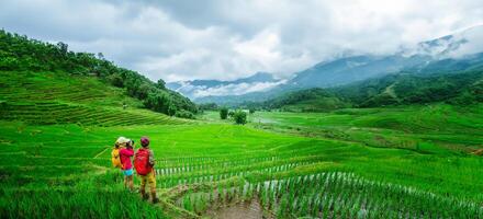 amante asiático hombre asiático mujer viaje naturaleza viaje relajarse caminando un foto en el arroz campo en lluvioso temporada en chiang Mai, Tailandia