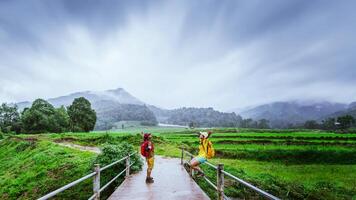 amante asiático hombre asiático mujer viaje naturaleza. caminando un foto el arroz campo y detener tomar un descanso relajarse en el puente a prohibición mae klang luang en lluvioso estación.