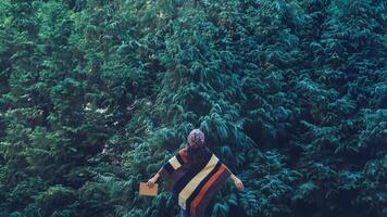 Young woman relax in the holiday. Travel nature and write a note Happy to see the beauty of the pine leaf. Nature Study. photo