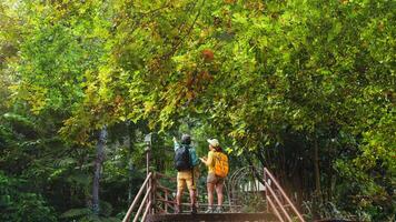 amante mujer y hombre viajes asiáticos nature.travel relax. caminar y estudiar la naturaleza en el bosque. tailandia foto