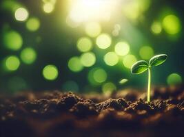 Sprout of green leafy plants growing from fertile soil on green background, environmental design concept photo