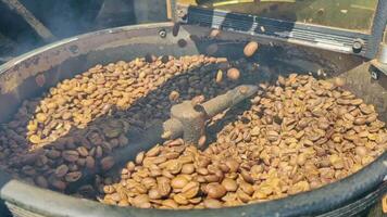 fresco caffè fagioli siamo arrostito nel il macchina filmato. video