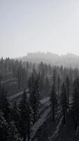 montanhas nevadas de ural no inverno video