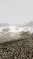 paesaggio naturale artico con iceberg nel fiordo di ghiaccio della Groenlandia video