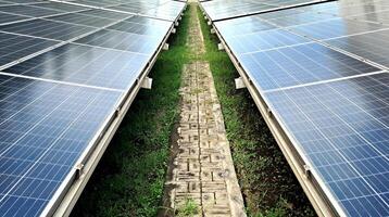 Display of solar panels in the afternoon towards Indonesia GO Green photo