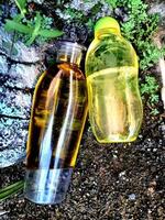 Olive oil in a bottle on moss grass background and plaster photo