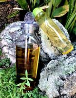 Olive oil in a bottle on moss grass background and plaster photo