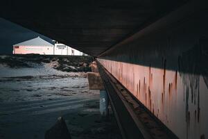 Sunlit Path to Coastal Calm photo