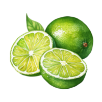 une Frais citron vert coin garnir png