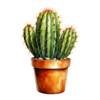 Cacti for Home and Garden png