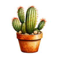 cactus para hogar y jardín png