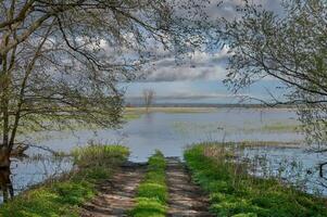 flood at River Oder in lower Oder Valley National Park,Uckermark photo