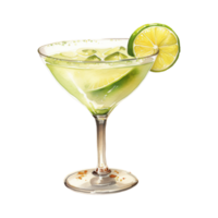 Gemälde von ein Margarita Cocktail png