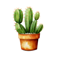 cactus para hogar y jardín png