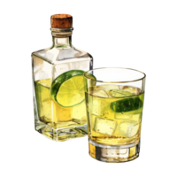 Clear Bottle of Tequila png