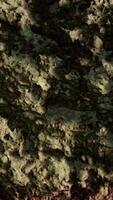 close up of rocky stones formation video