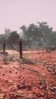 Old rural barbed wire fence with wooden posts video