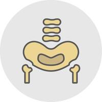 Pelvic Bone Line Filled Light Icon vector