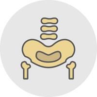 Pelvic Bone Line Filled Light Icon vector