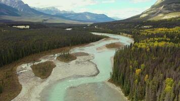 antenne visie van de athabasca rivier- in alberta, Canada. video