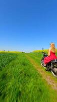 FPV of woman in red dress and dog riding a vintage motorcycle in the countryside video