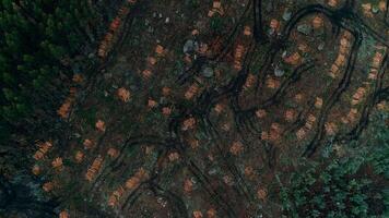 Deforestation Aerial View video